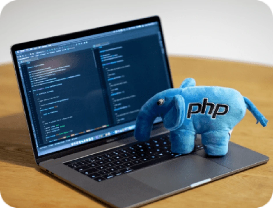 php-web-development-in-lucknow